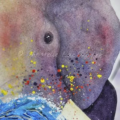 Avatar de Christelle Lachambre - Artiste